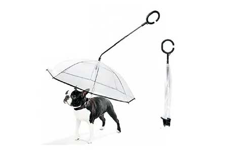 Dog umbrella