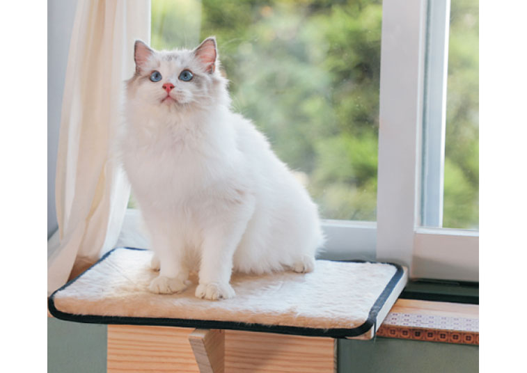 Wooden cat windowsill bed