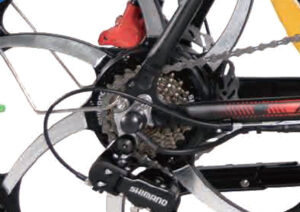Electric folding bike check