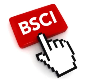 BSCI logo